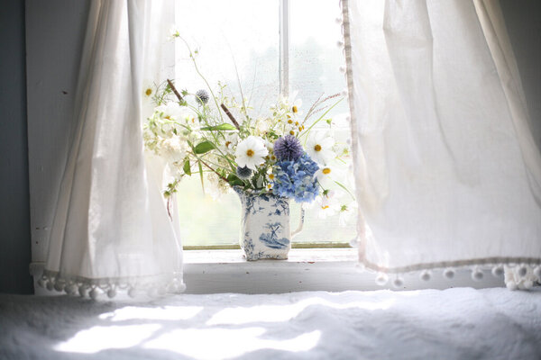 Plantas junto a una ventana con luz suave y cortina clara