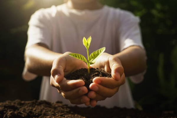 Persona adulta sosteniendo una pequeña planta con tierra en las manos